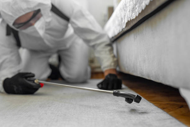 Professional Cockroach Control technician working in River Road, NC